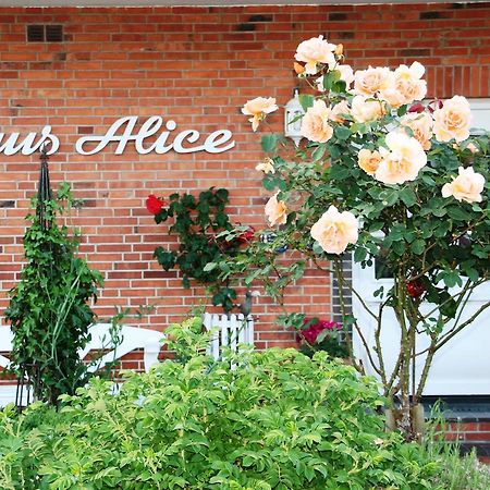 Pension Alice ビューズム エクステリア 写真
